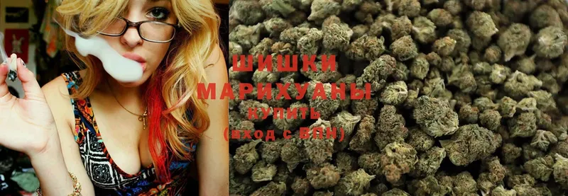 Бошки марихуана White Widow  купить наркоту  Анадырь 